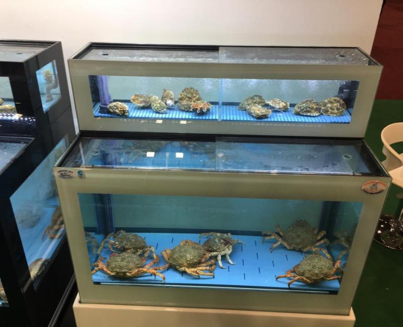 EQUIPO CON DOBLE ALTURA - Acuarios y Viveros de marisco Tecnomar